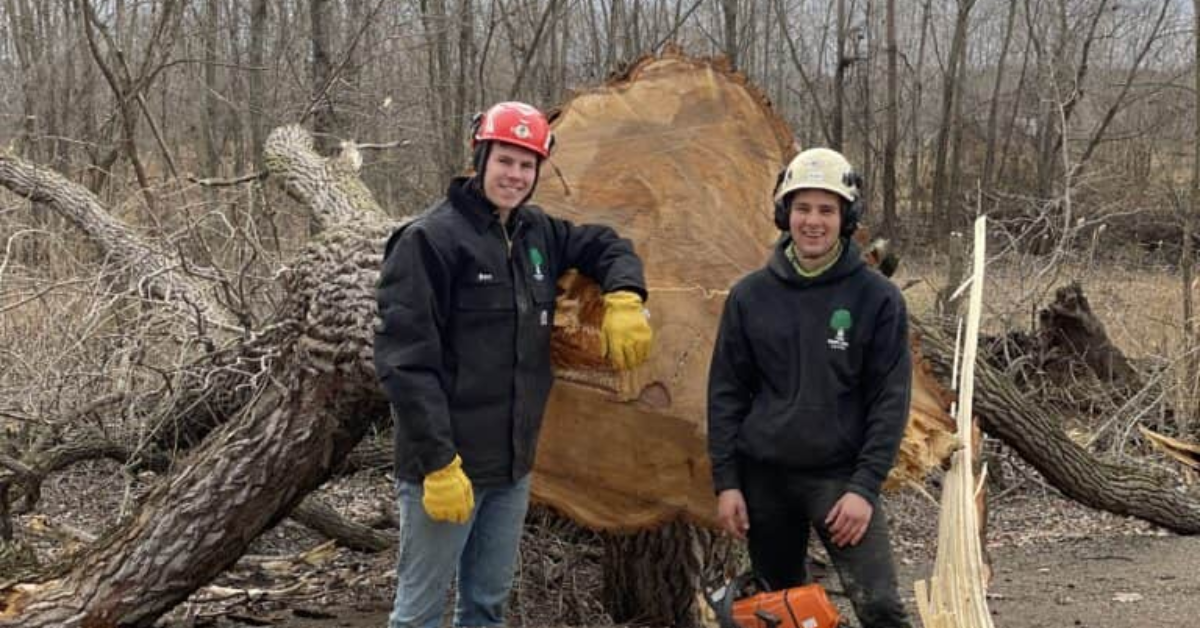 Tree Trimming Company