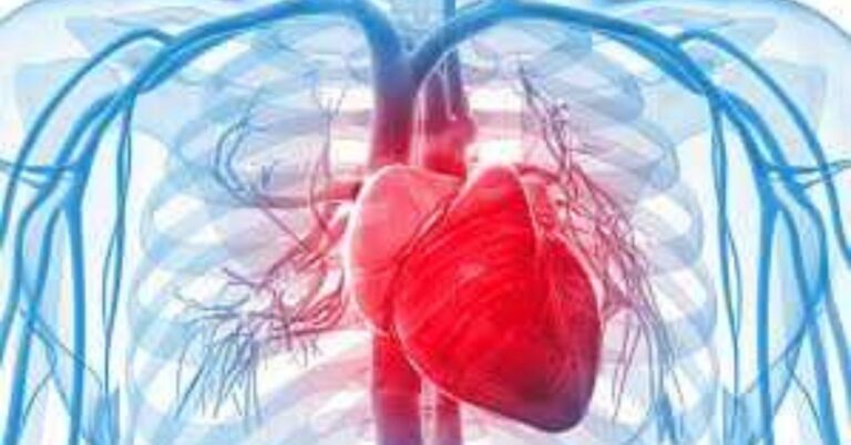 Innovative Solutions for Heart Health: High Cholesterol Stem Cell Treatment India